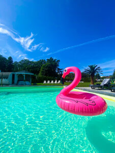 Start 0f186a12 80d9 4130 a533 3709f07a6f31