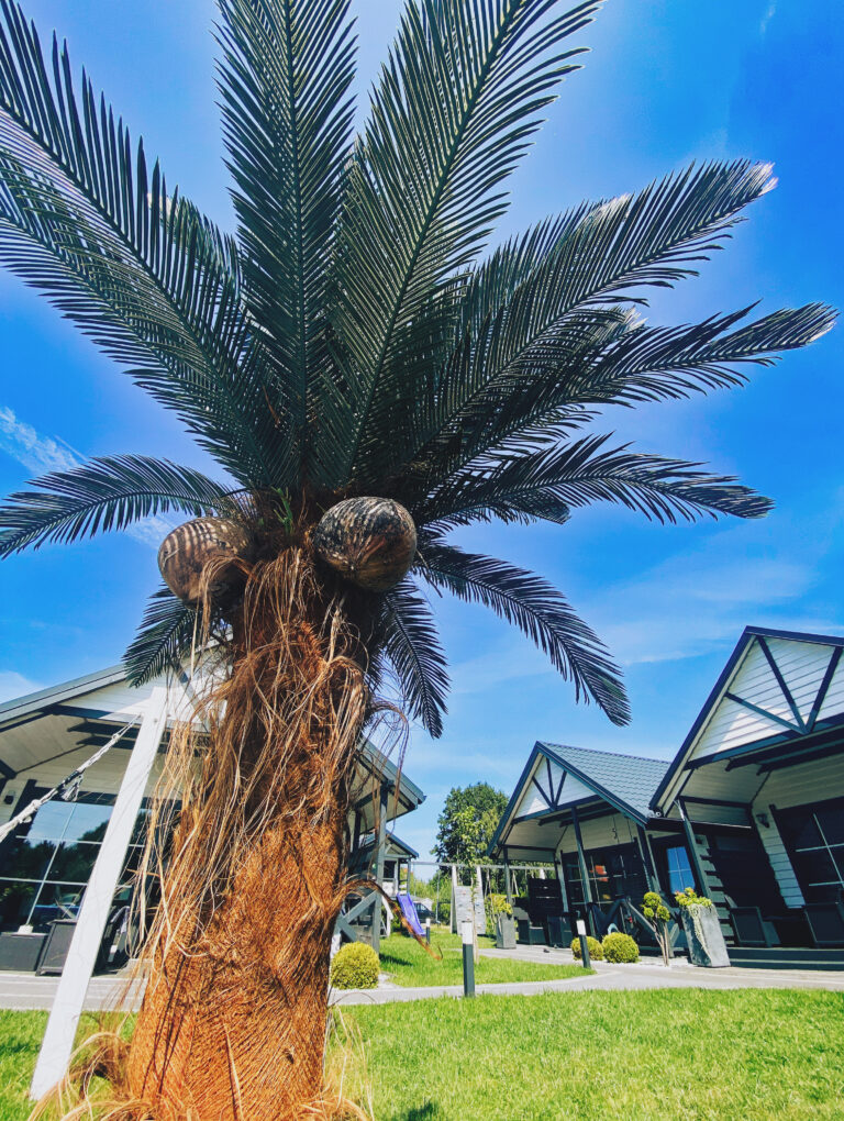 66b1ca85 fff2 49ef 9117 b7989839fa7b